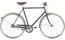 Gazelle Van Stael - 28 Zoll - Diamant - 2025