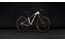 Cube Reaction Hybrid Pro 800 FE - 800 Wh - 29 Zoll - Diamant - 2027