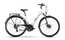 Raymon TourRay 2.0 - 28 Zoll - Tiefeinsteiger - 2024