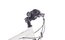 Carver Strict 20 Rigid Girl - 20 Zoll - Diamant