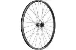 DT Swiss F 1900 Classic DB 29"- Vorderrad