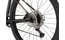 Carver Strict 170 - 29 Zoll - Diamant - 2025