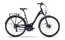 Raymon TourRay 2.0 - 28 Zoll - Tiefeinsteiger - 2024