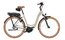 Riese und Müller Swing5 silent - 500 Wh - 26 Zoll - Tiefeinsteiger - 2026