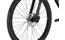 Carver Strict 170 - 29 Zoll - Diamant - 2025