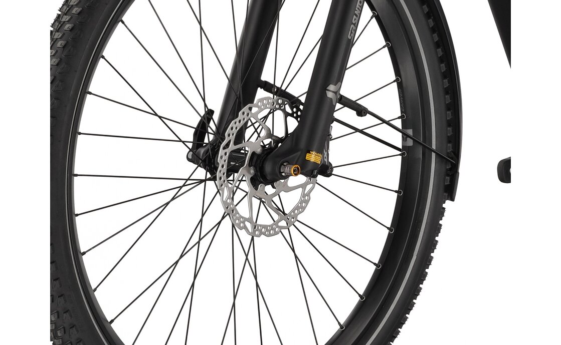 Carver SUV E.550 - B-Ware - 625 Wh - 29 Zoll - Diamant