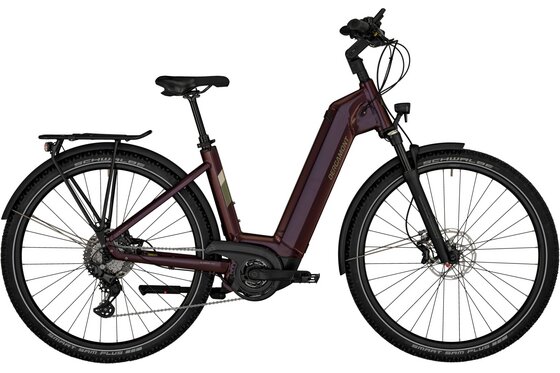 E-Bike-Pedelec - Bergamont E-Horizon SUV 6 Wave - 625 Wh - 28 Zoll - Tiefeinsteiger