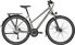 matt titanium silver