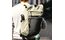 Thule Paramount Pendlerrucksack 18L