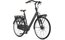 Gazelle Bloom - 28 Zoll - Tiefeinsteiger - 2026