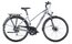 Raymon TourRay 3.0 - 28 Zoll - Trapez