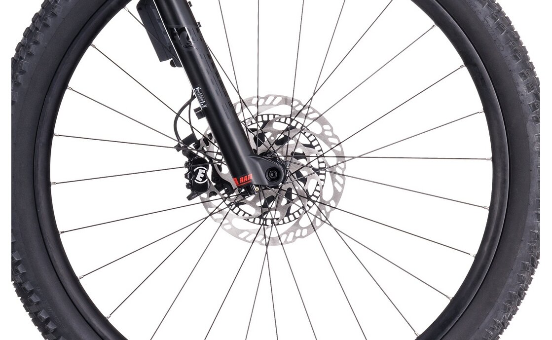 Cube Stereo Hybrid 120 ABS 750 - 750 Wh - 29 Zoll - Fully