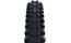 Schwalbe Shredda Gravity Pro F 29x2.50 Radial UltraSoft TLR E-50