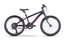 Raymon TwoRay 1.0 - 20 Zoll - Diamant - 2024