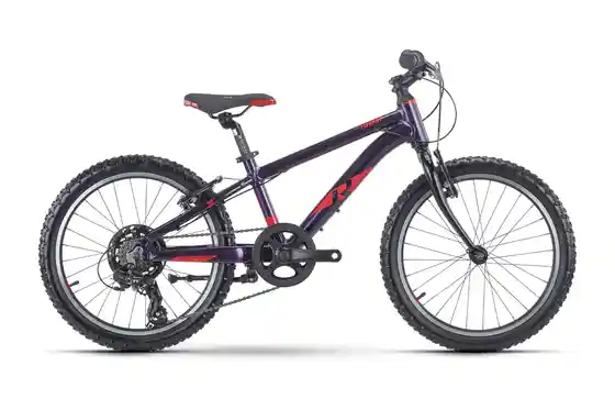 Fahrräder - Raymon TwoRay 1.0 - 20 Zoll - Diamant