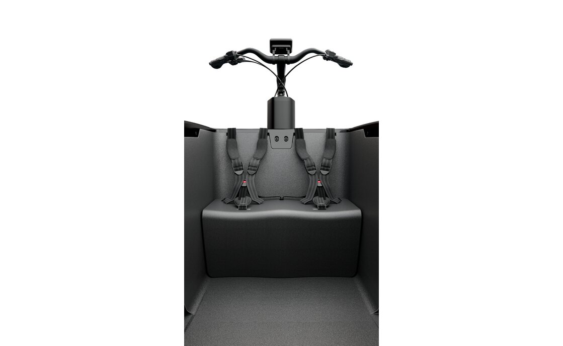 TENWAYS Cargo ONE - 960 Wh - 26 Zoll - Long John - 2026