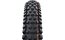 Schwalbe Albert Gravity Pro 29x2.50 Radial Soft TLR E-50