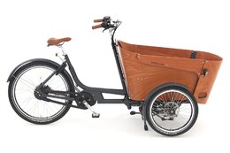 Babboe Carve Mountain - 500 Wh - 26 Zoll - Dreirad - 2024