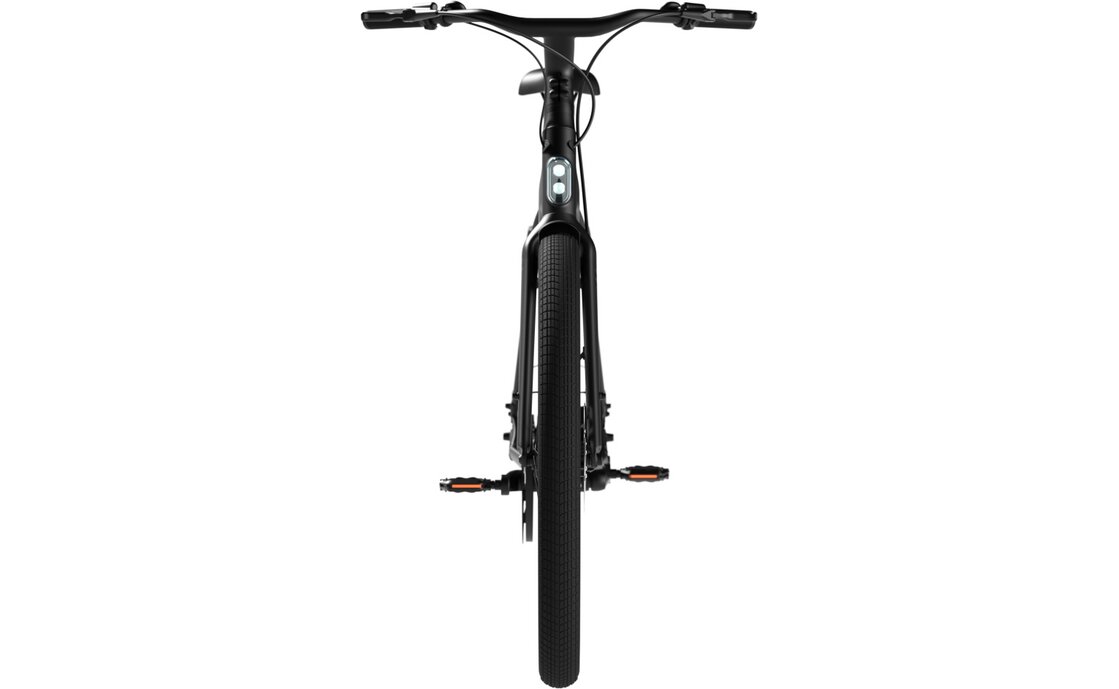 TENWAYS CGO009 - 374 Wh - 28 Zoll - Diamant - 2026