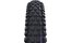 Schwalbe Albert Gravity Pro 29x2,50 ADDIX UltraSoft Radial TLR E-50
