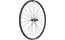 DT Swiss P 1800 Spline DB 23 28"- Hinterrad, Shimano ROAD