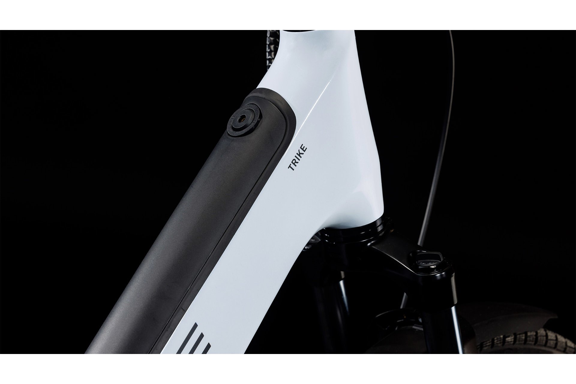 Cube Trike Family Hybrid 1500 - 1500 Wh - 24 Zoll - Dreirad - 2026