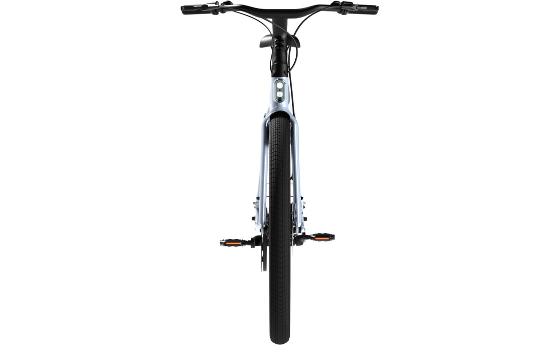 TENWAYS CGO009 - 374 Wh - 28 Zoll - Diamant - 2026