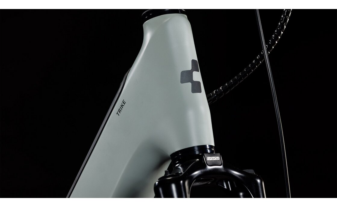 Cube Trike Family Hybrid 1500 - 1500 Wh - 24 Zoll - Dreirad - 2026