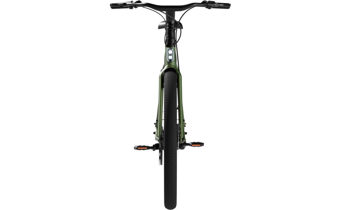 TENWAYS CGO009 - 374 Wh - 28 Zoll - Diamant - 2026