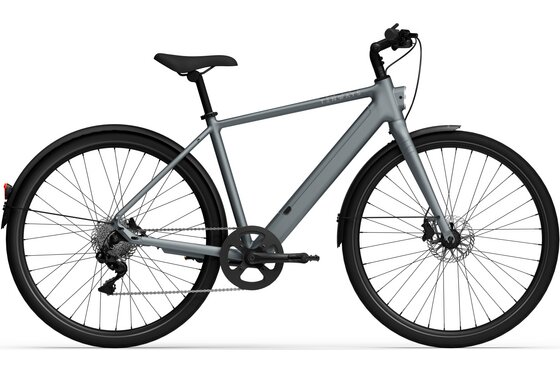 2026 - Urban E-Bikes - TENWAYS CGO600 Plus - 360 Wh - 28 Zoll - Diamant - 2026