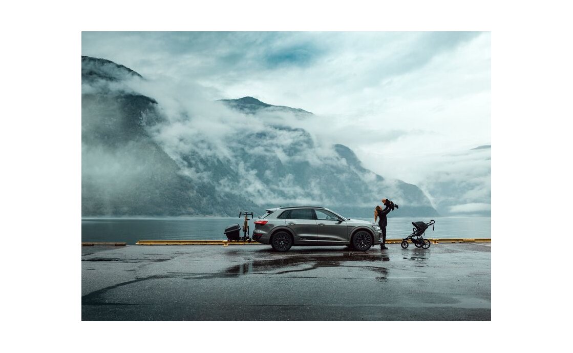 Thule Santu Box für Kupplungsträger