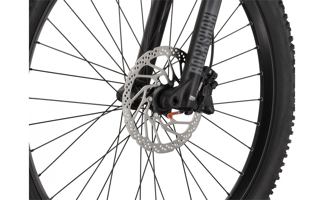 Carver Strict E.560 - 750 Wh - 27,5 Zoll - Diamant