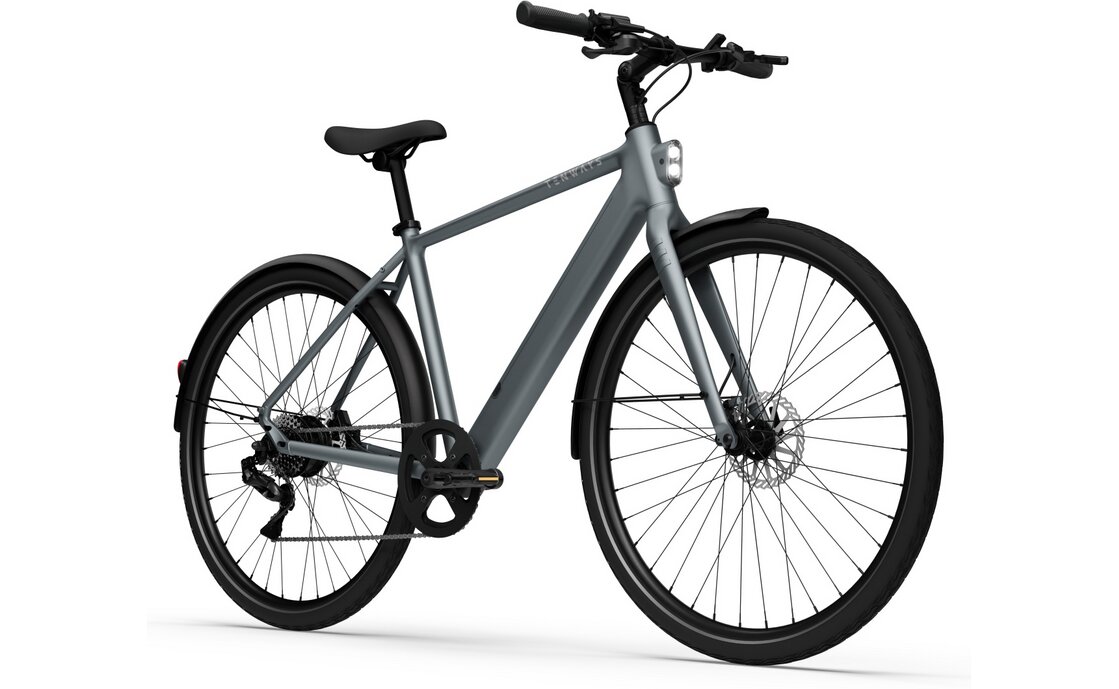 TENWAYS CGO600 Plus - 360 Wh - 28 Zoll - Diamant - 2026