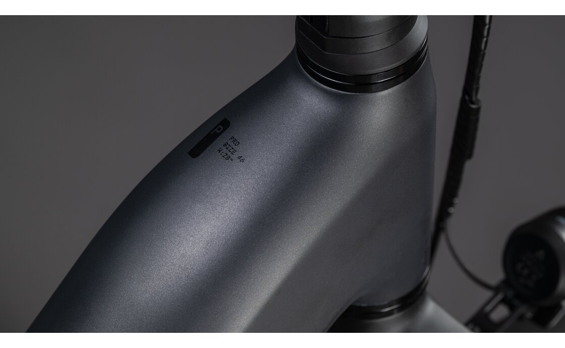 Cube Kathmandu Hybrid ONE11 HPC Pro 800 - 800 Wh - 28 Zoll - Fully - 2026