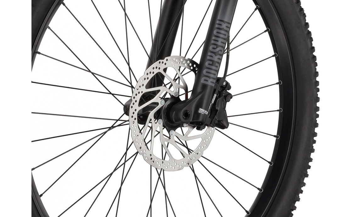 Carver Strict E.560 - 750 Wh - 27,5 Zoll - Diamant