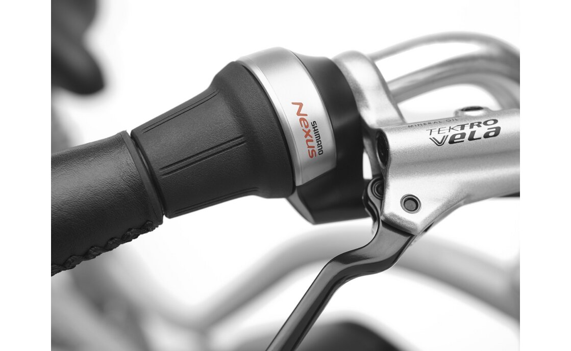 Electra Townie Go! 5i Step-Thru - 500 Wh - 26 Zoll - Trapez - 2026
