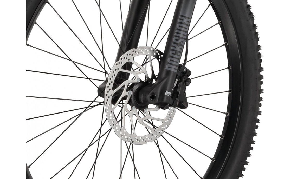 Carver Strict E.560 - 750 Wh - 27,5 Zoll - Diamant