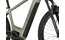 Carver Strict E.560 - 750 Wh - 27,5 Zoll - Diamant