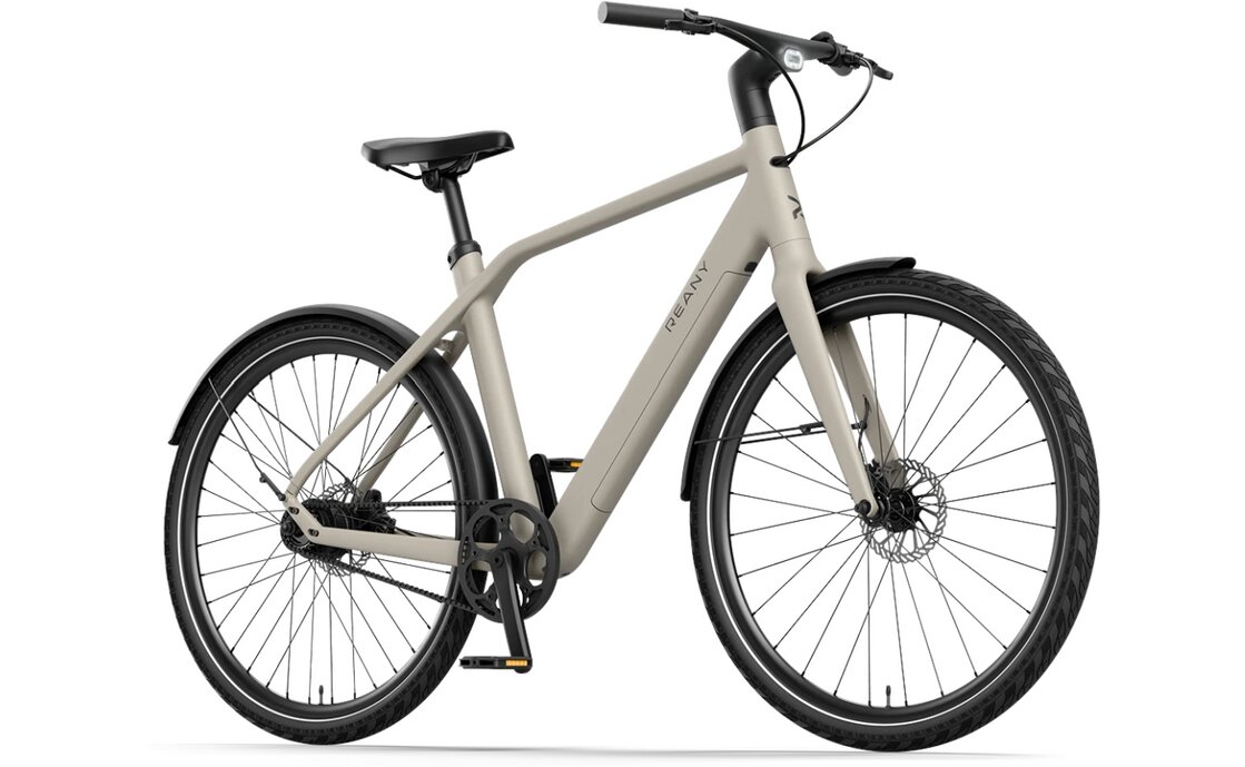 REANY N1 Pro - 360 Wh - 28 Zoll - Diamant - 2026