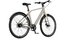 REANY N1 Pro - 360 Wh - 28 Zoll - Diamant - 2026