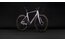 Cube Agree C:62 Race - 28 Zoll - Diamant - 2027