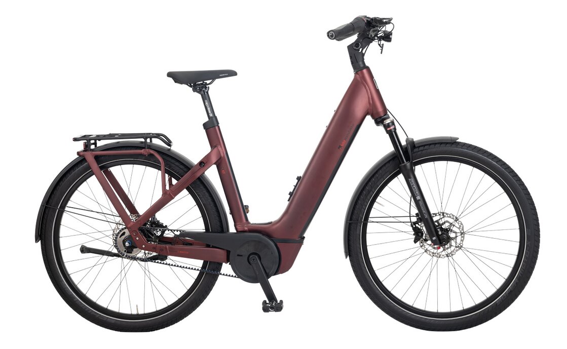 E-Bike Manufaktur 5NF - 750 Wh - 27,5 Zoll - Tiefeinsteiger - 2023