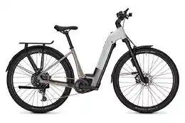 Focus Planet2 6.8 ABS - 625 Wh - 29 Zoll - Tiefeinsteiger