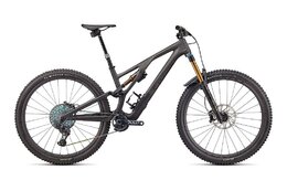 Specialized Stumpjumper Evo S-Works - 29 Zoll - Fully - Aktion