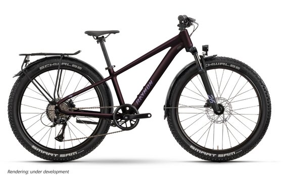 26 Zoll - Fahrräder - Raymon Nayta 26 Pro Street - 26 Zoll - Diamant - 2026