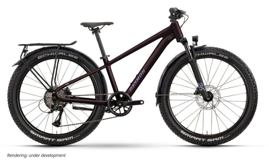 Raymon Nayta 26 Pro Street - 26 Zoll - Diamant - 2026