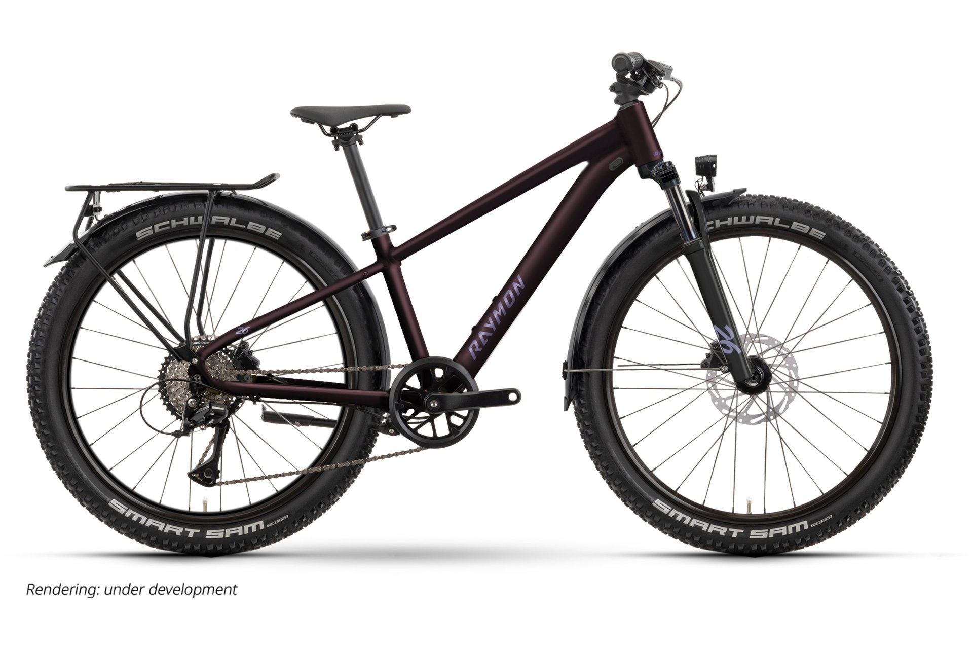 Raymon Nayta 26 Pro Street - 26 Zoll - Diamant - 2026