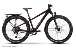 Raymon Nayta 26 Pro Street - 26 Zoll - Diamant - 2026