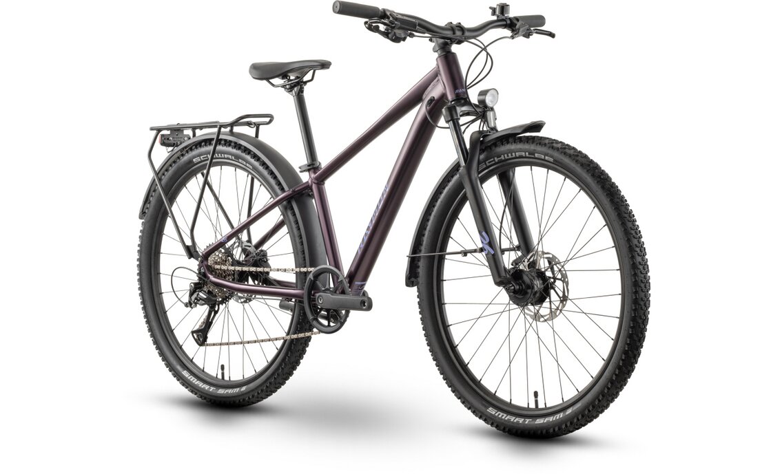 Raymon Nayta 26 Pro Street - 26 Zoll - Diamant - 2026