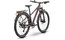 Raymon Nayta 26 Pro Street - 26 Zoll - Diamant - 2026